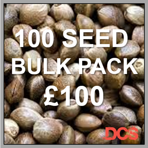 Blue Kush Feminised Cannabis Seeds - 100 Bulk Seeds