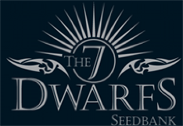 7 Dwarfs Feminised Cannabis Seeds | Discount Cannabis Seeds
