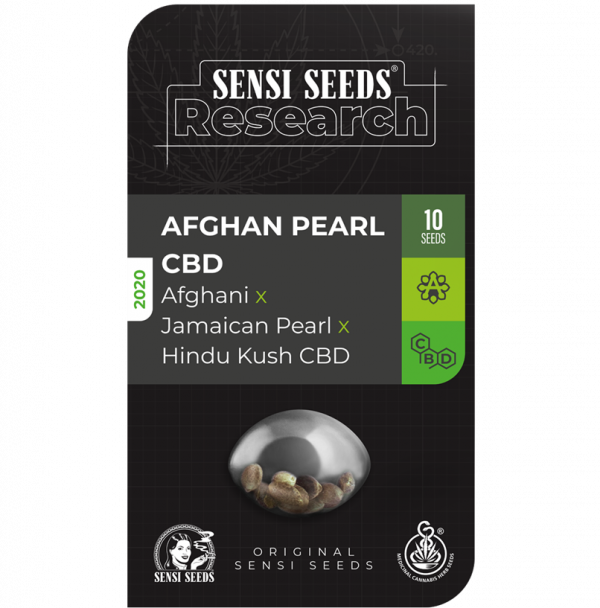 Afghan Pearl CBD Auto Feminised Cannabis Seeds - Sensi Seeds Research