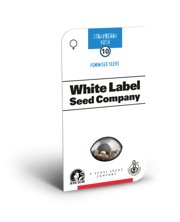 American Line Strawberry Kush Feminised Cannabis Seeds | White Label Seed Company