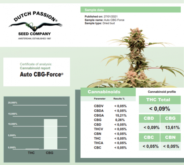 Auto CBG Force Feminised Cannabis Seeds | Dutch Passion 