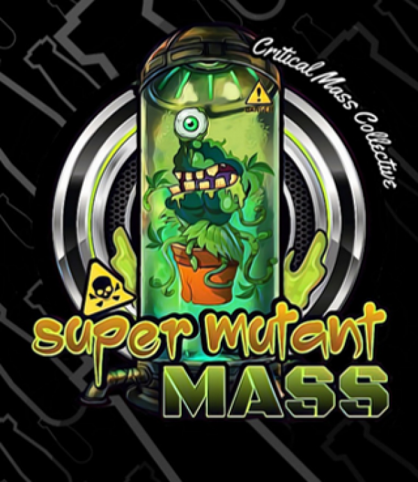 Auto Super Mutant Mass Feminised Cannabis Seeds | Critical Mass Collective Seeds