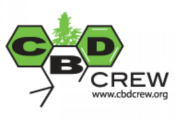 CBD Crew Seeds | Discount Cannabis Seeds