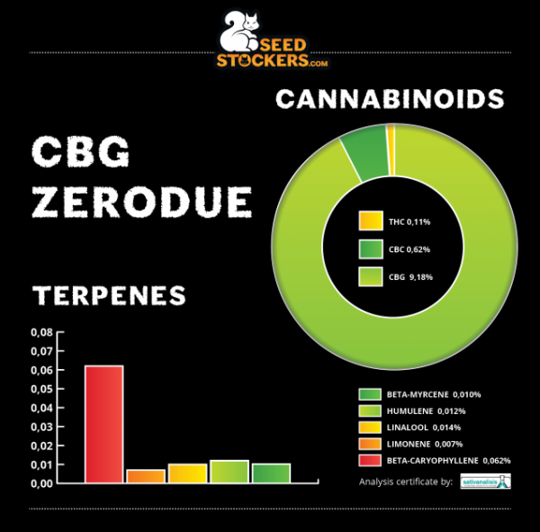 CBG Zerodue Feminised Cannabis Seeds | Seed Stockers