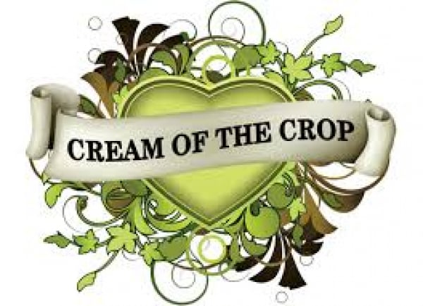 Cream of the Crop Seeds | Discount Cannabis Seeds