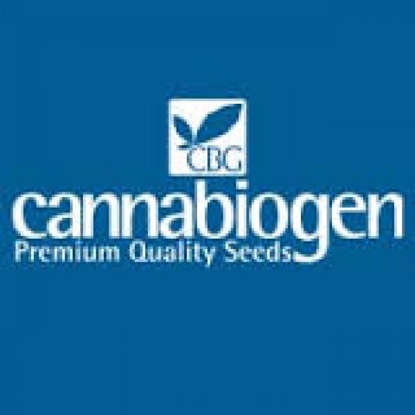 Cannabiogen Cannabis Seeds | Discount Cannabis Seeds