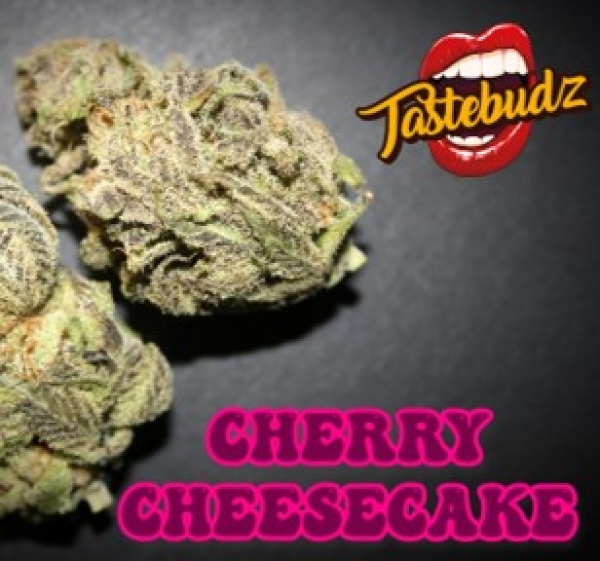 Cherry Cheesecake Auto - Tastebudz