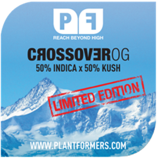Crossover OG Feminised Cannabis Seeds | Plantformers