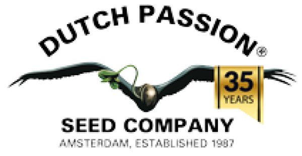 Dutch Passion | Discount Cannabis Seeds