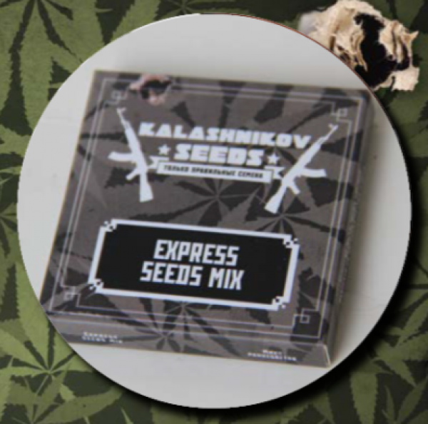 Express Mix Pack Feminised Cannabis Seeds | Kalashnikov Seeds