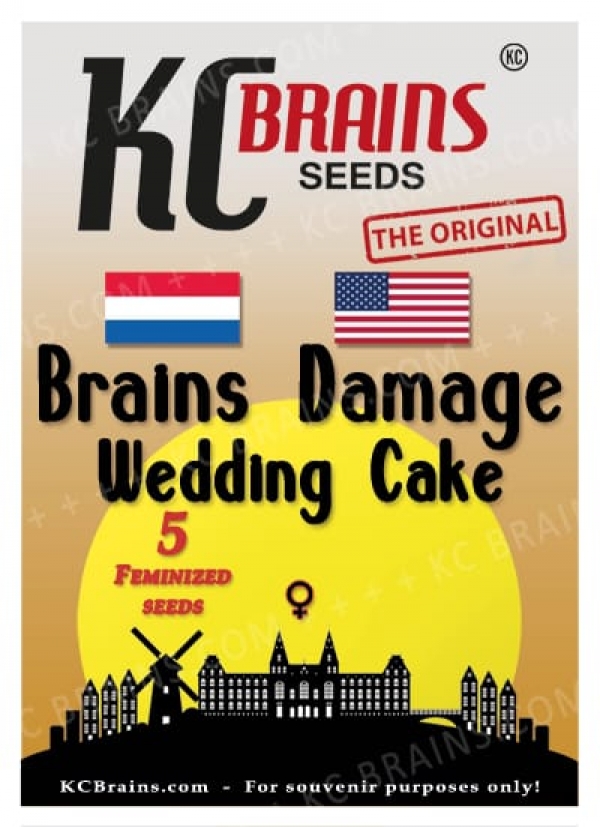 Brains Damage Wedding Cake Feminised Cannabis Seeds | KC Brains Seeds