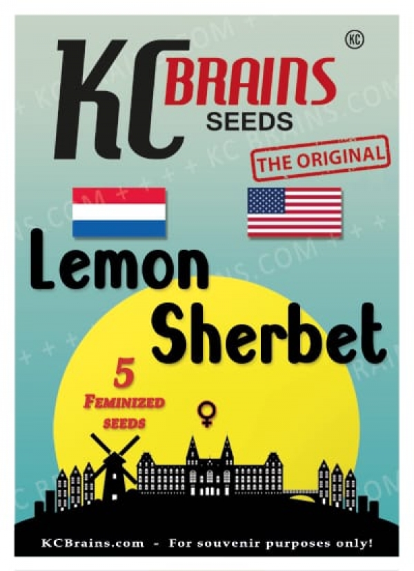 Lemon Sherbet Feminised Cannabis Seeds | KC Brains Seeds