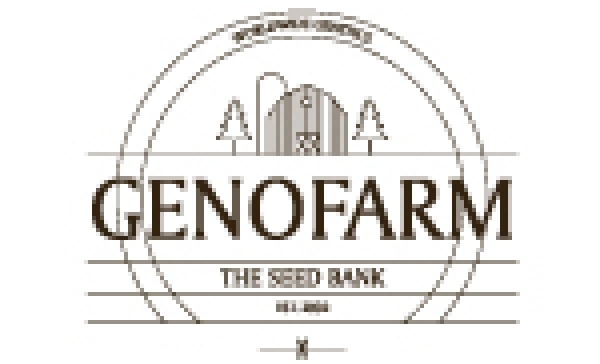 Genofarm Seeds | Discount Cannabis Seeds