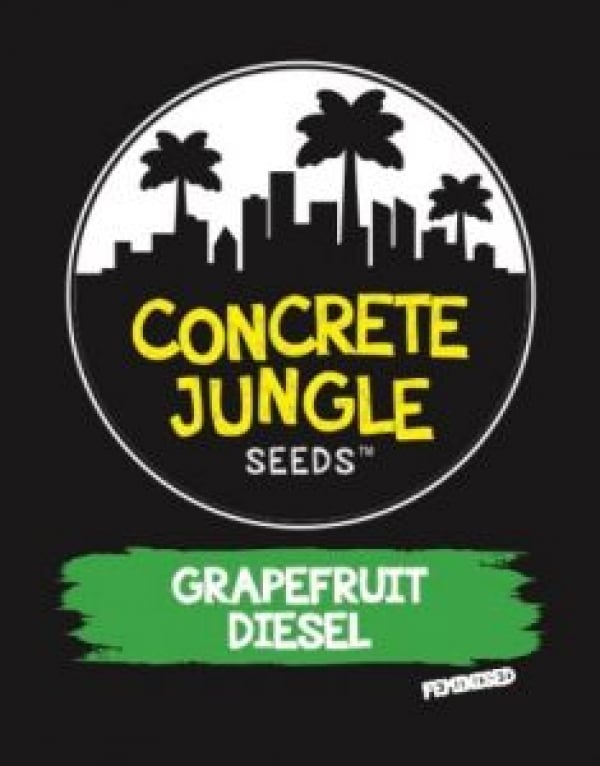 Grapefruit Diesel Feminised | Concrete Jungle Seeds