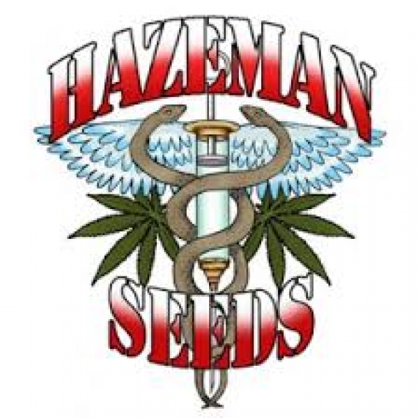 Hazeman Seeds | Discount Cannabis Seeds