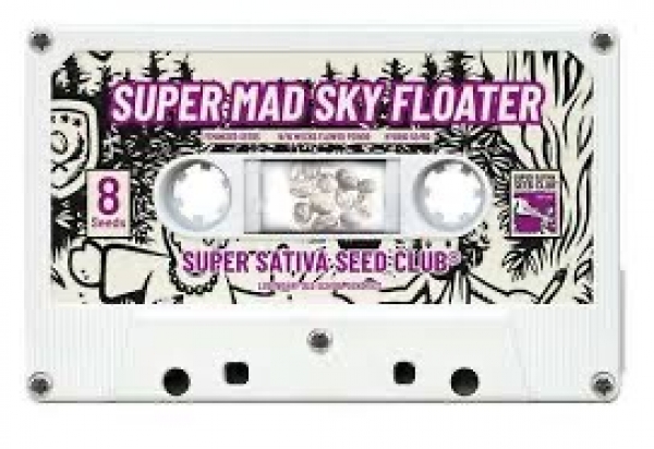 Super Mad Sky Floater Feminised Cannabis Seeds - Super Sativa Seed Club.