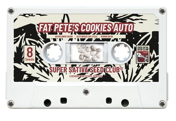 Fat Pete's Cookies Auto Feminised Cannabis Seeds - Super Sativa Seed Club