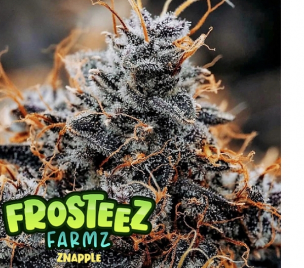 Znapple Feminised Cannabis Seeds - Frosteez Farmz
