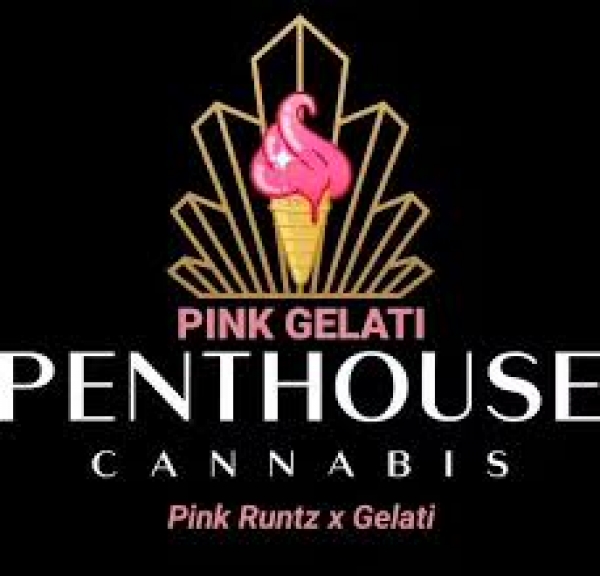 Auto Pink Gelati Feminised Cannabis Seeds - Penthouse Cannabis Co.