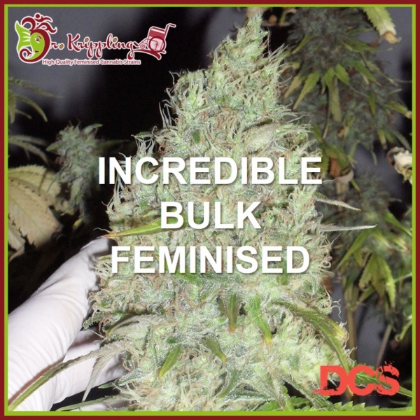 Incredible Bulk Feminised Cannabis Seeds