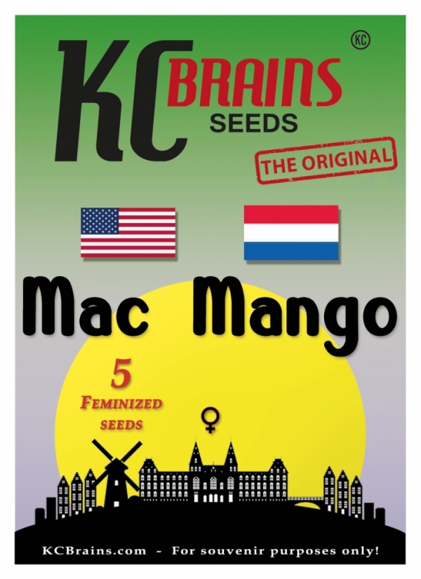 Mac Mango Feminised Cannabis Seeds | KC Brains Seeds