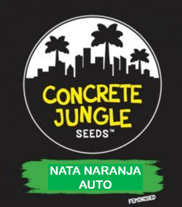 Nata Naranja Auto Feminised | Concrete Jungle Seeds