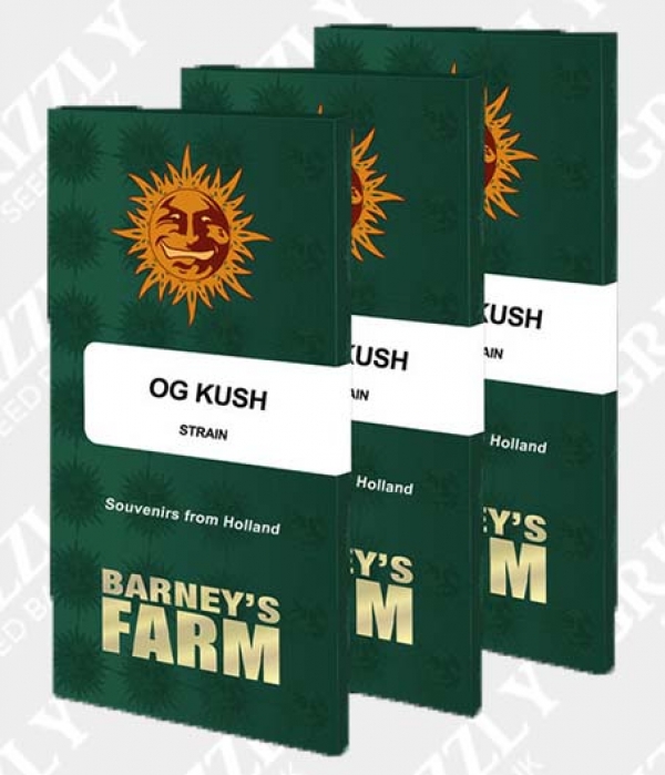 OG Kush Feminised Cannabis Seeds | Barney's Farm 