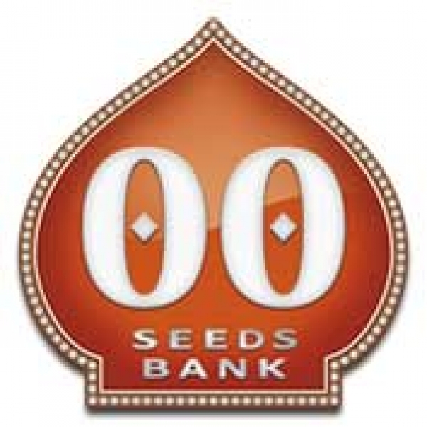 OO Seeds | Discount Cannabis Seeds