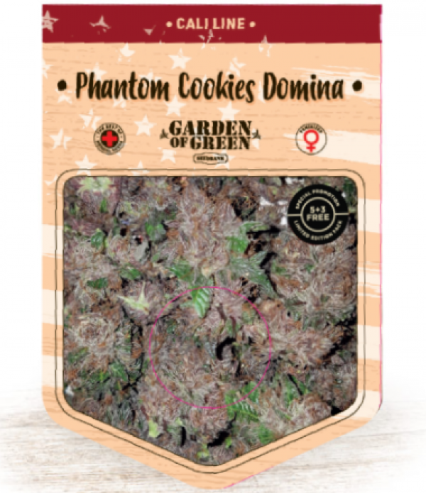 Phantom Cookies Domina Feminised Cannabis Seeds | Garden of Green