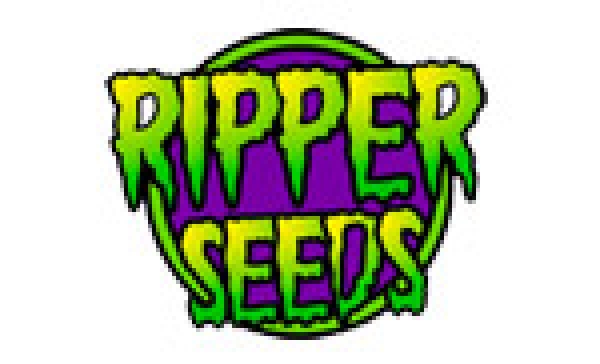 Ripper Seeds | Discount Cannabis Seeds