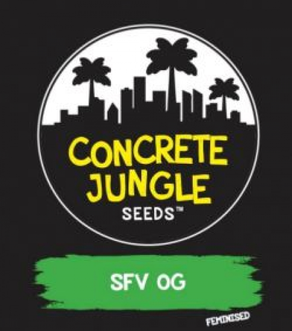 SFV OG Feminised | Concrete Jungle Seeds