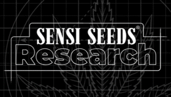 Sensi Seeds Research - Discount Cannabis Seeds