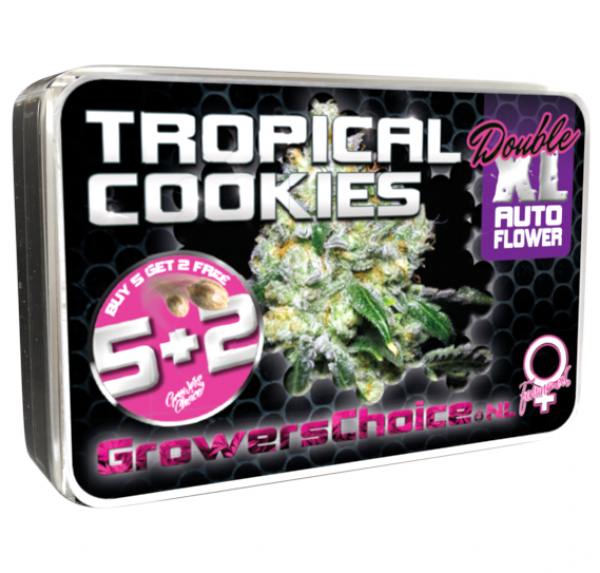 Tropical Cookies Double XL Auto Feminised Cannabis Seeds - Growers Choice