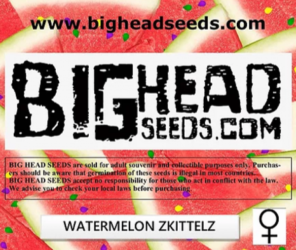 Watermelon Zkittelz Feminised Cannabis Seeds | Big Head Seeds