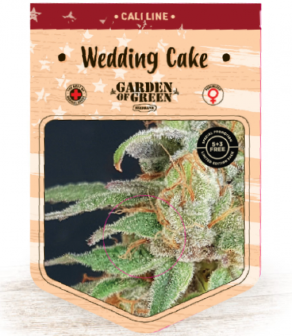 Wedding Cake Feminised Cannabis Seeds | Garden of Green