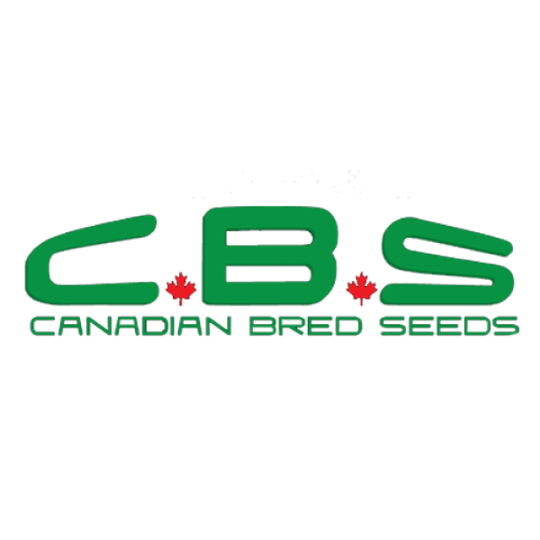 Canadian Bred Seeds | Discount Cannabis Seeds