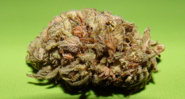 Dark Cookie Feminised Cannabis Seeds | Dr Underground