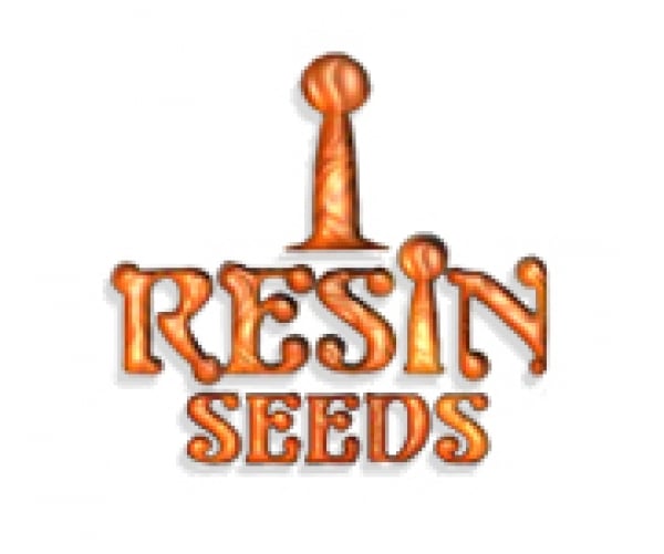 Resin Seeds | Discount Cannabis Seeds