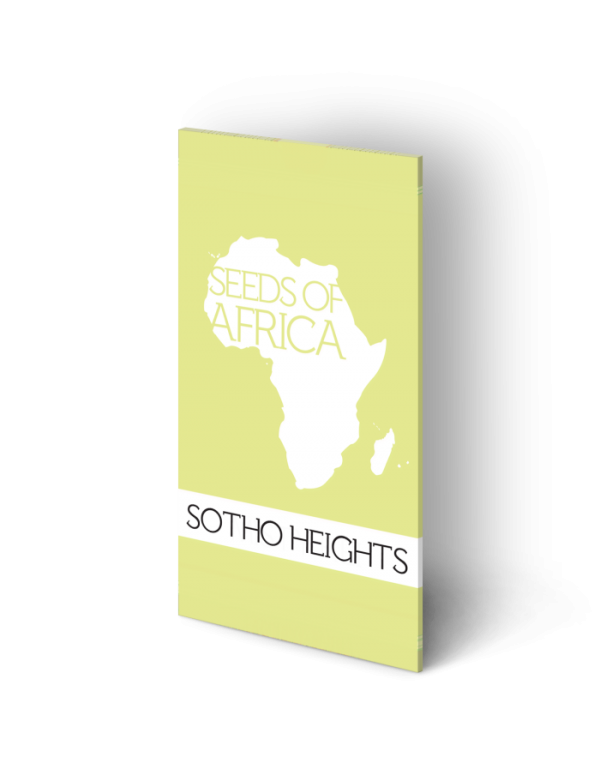 Sotho Heights Regular Cannabis Seeds | Seeds of Africa