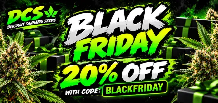 Black Friday Sale