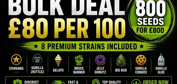 EXCLUSIVE CANNABIS SEEDS BULK DEAL £80 PER 100 PACKS FOR £800.