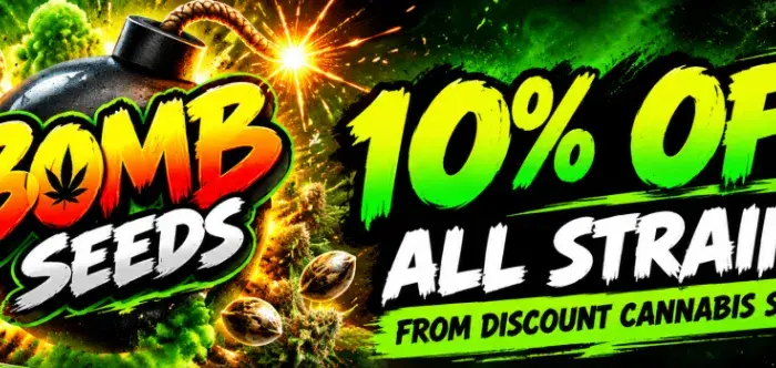 Bomb Seeds 10% OFF.