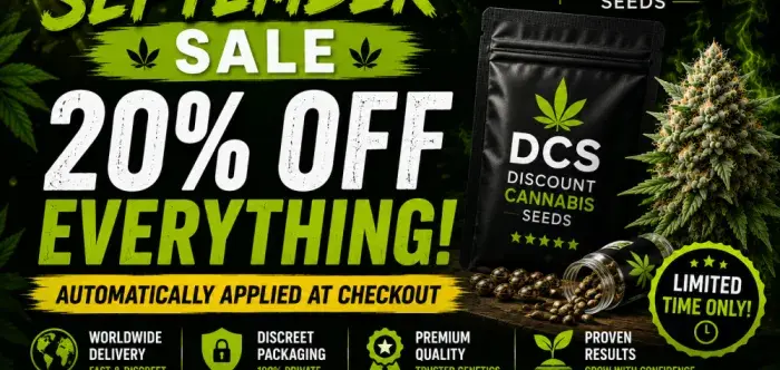 September 20% OFF EVERYTHING.