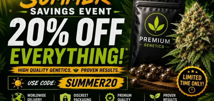 SUMMER SALE 20% OFF EVERYTHING.