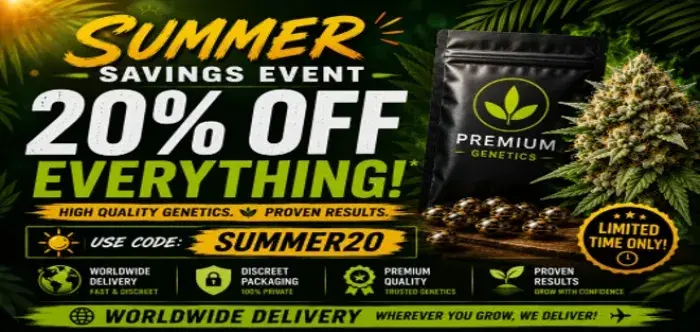 SUMMER SALE 20% OFF EVERYTHING.