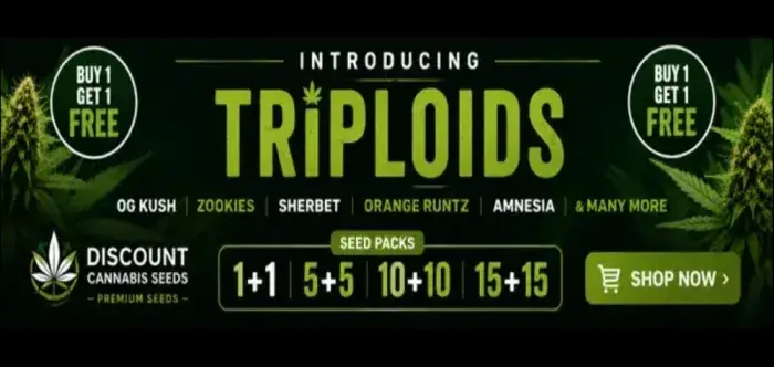 Triploids - Discount Cannabis Seeds