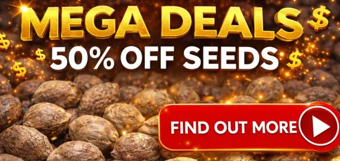 Mega Deals AT DISCOUNT CANNABIS SEEDS