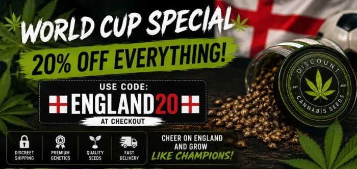 JUNE PROMO - ENGLAND 20% OFF EVERYTHING,