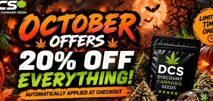 October 20% OFF EVERYTHING.