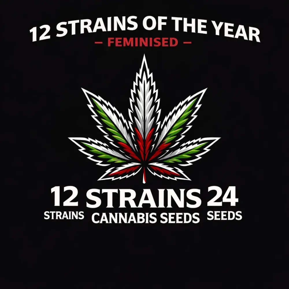 12 Feminised Strains of The Year Cannabis Seeds – 24 Seeds, 12 Strains.